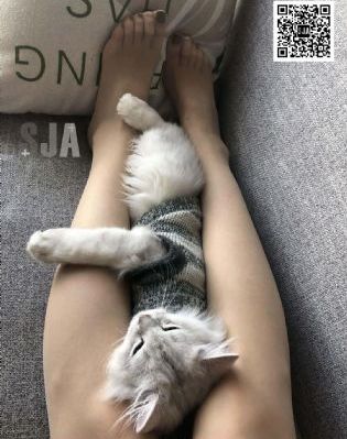 完整观看亚洲理论在线a中文字幕_短视频完整无删减版